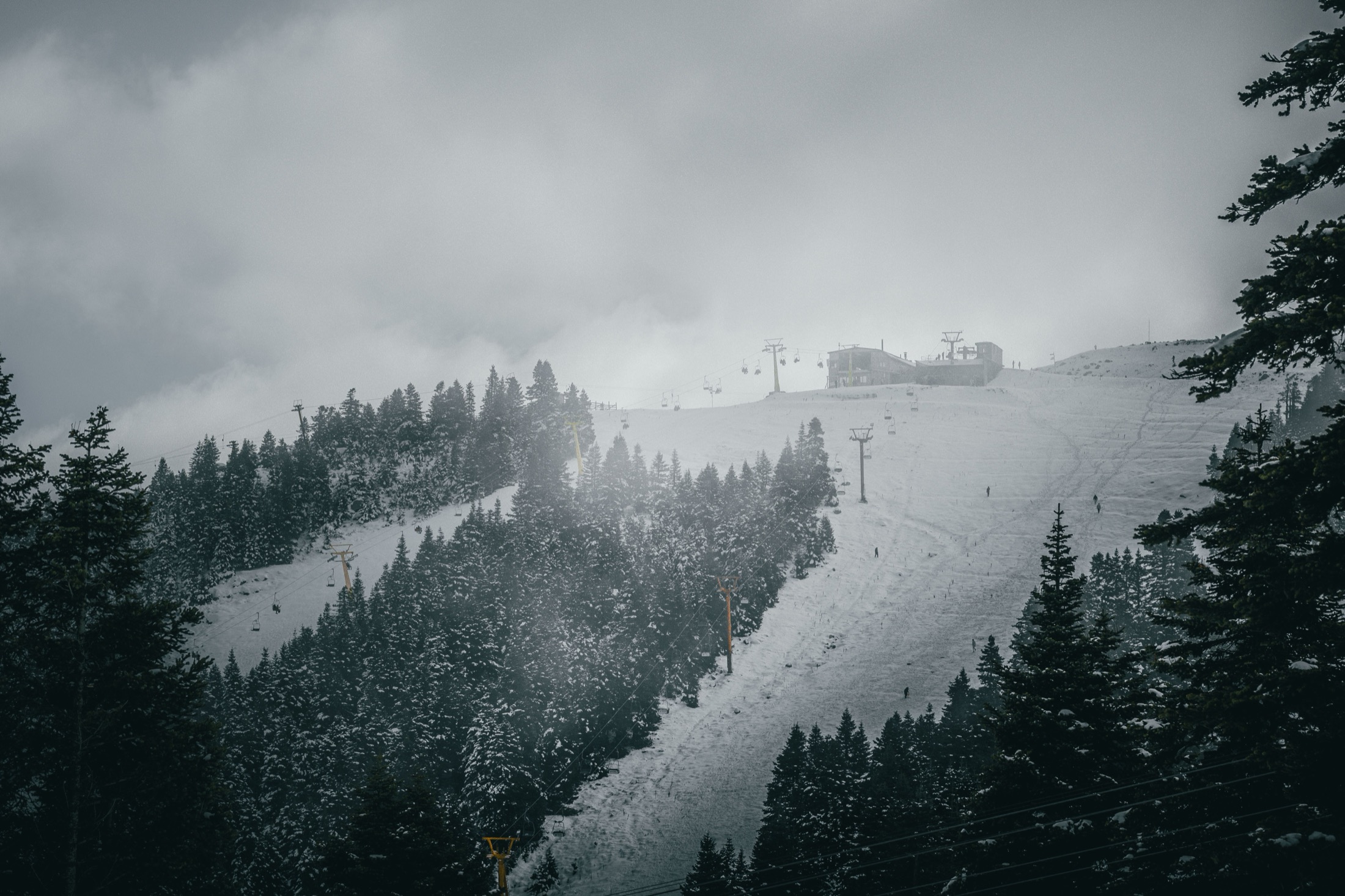 แคมป์สกี Early Bird Koktokay - Shangdao Ski